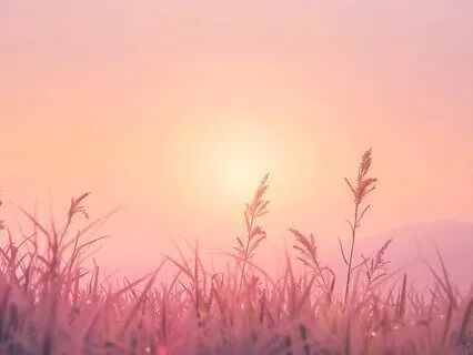 Quantum Jumping | Shift Into Your Dream Reality