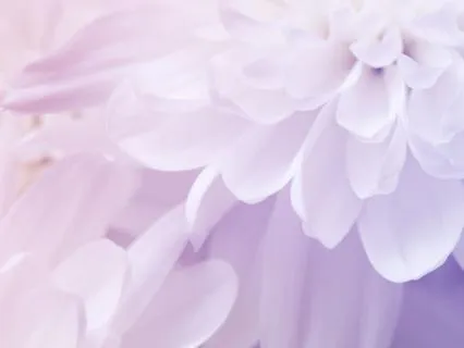 Quantum Leap: A Journey Beyond Time