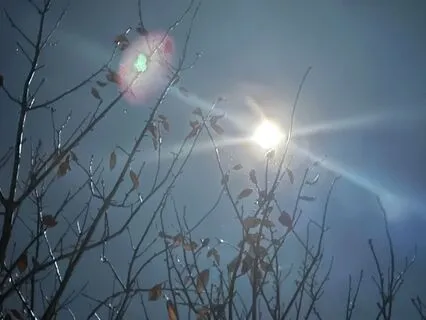 Quantum Leap: Sleep Relaxation For Joy