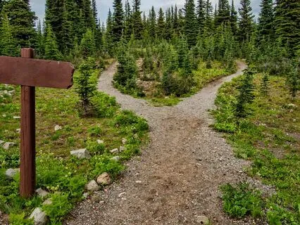 Quantum Leaping - A Guided Visualisation