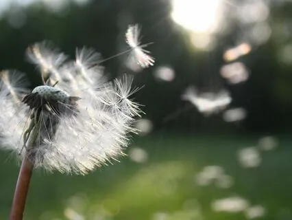 Quantum Manifestation Soundscape: Phi And 1111 Hz