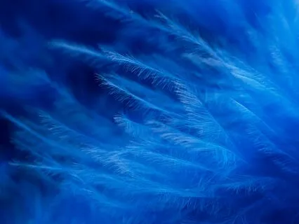 Quantum Manifestation With Your Higher Self And Spirit Guide