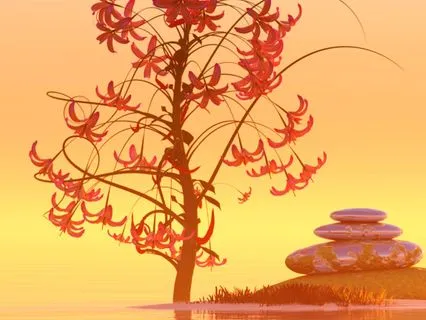 Quantum Physics LOA 432 Hz