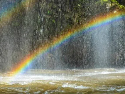 Quantum Shift To Highest Timeline—Tuning Forks, Gamma, Rain