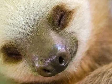 Quantum Sleep - Relax, Rest And Heal