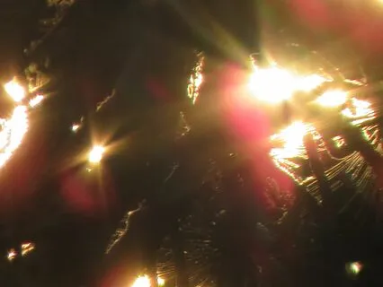 Quantum Upgrade (DNA Repair In 528 Hz)