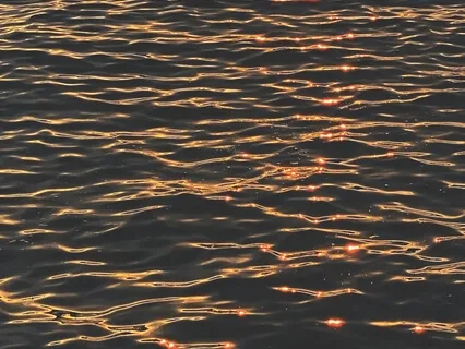 Quantum Wave Journey