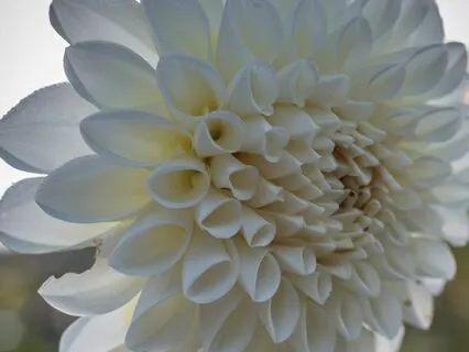 Queen Of Cups Meditation