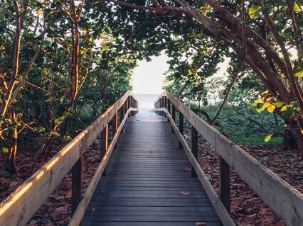 Quest For Recovery: Escape To The Seaside