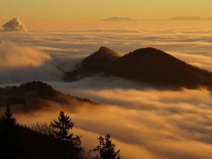 Questions To Attract Miracles In All Areas Of Your Life