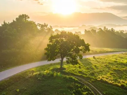 Questões e Afirmações