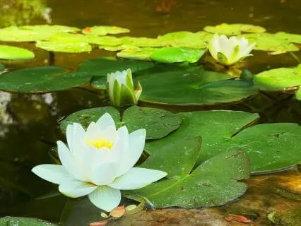 Quick 5 Minute Meditation To Reduce Anxiety And Overthinking