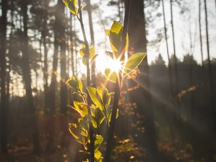 Awaken & Spread Your Inner Light