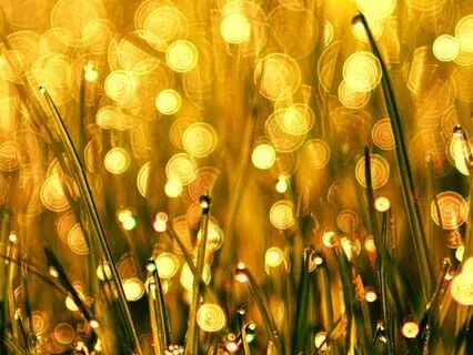 Quick Abundance Reset (2 Minutes)