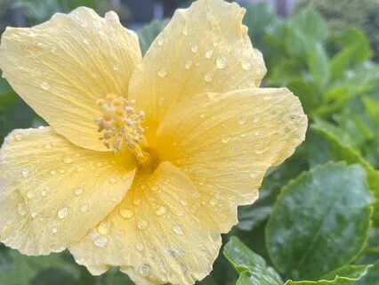 Quick Affirmation Meditation