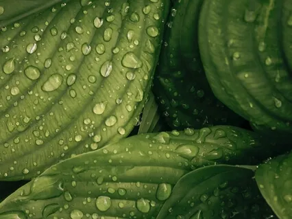 Quick Afternoon Reset Meditation - 3 Minutes