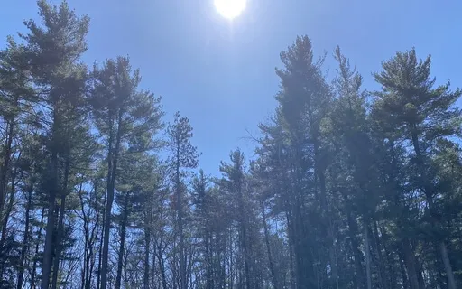 Quick Afternoon Reset