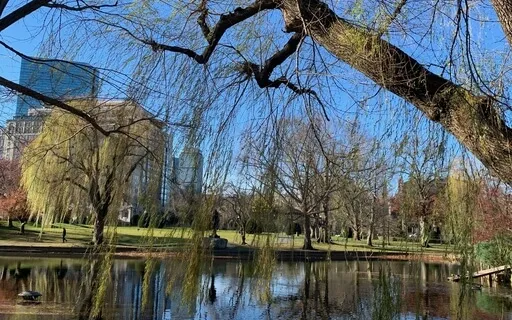 Quick And Easy Grounding Meditation