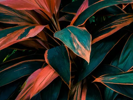 Quick Anti-Anxiety Mindfulness Practice