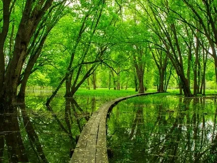 Quick Anxiety Relief Exercise