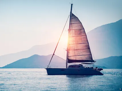 Quick Bite Of Insight: Trust In The Process Of Life