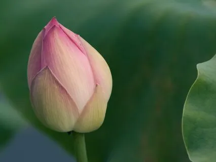 (Quick) Brain Wrapping For An Overstimulated Mind