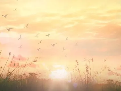 Quick Breath Energiser