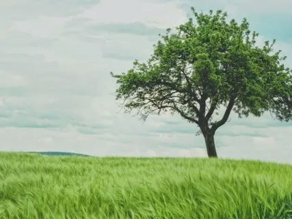 Quick Breath Practice