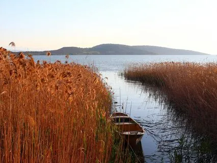 Quick Calm: A Reset For Body & Mind