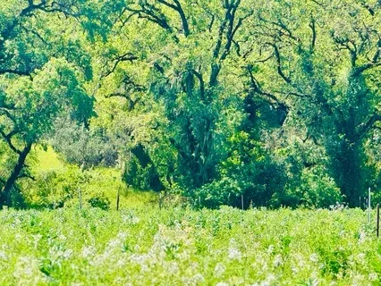 Quick Calming During Hard Times