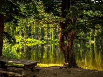 Quick Centering Body Scan (Daily Reset)