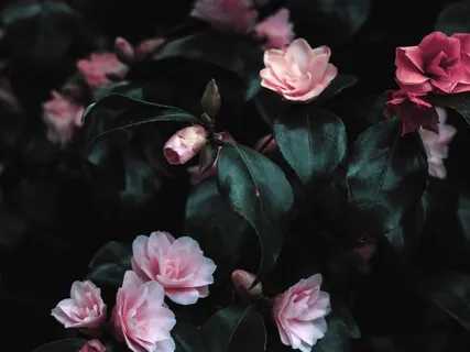 Quick Centering Breaths