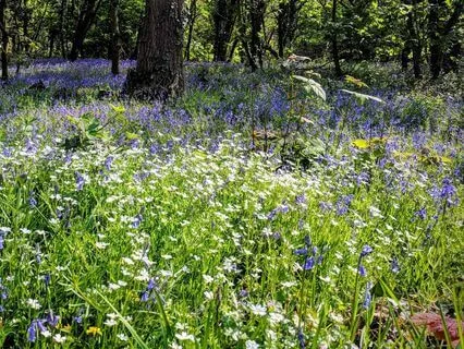 Quick Christian Anxiety Meditation