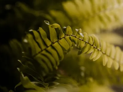 Quick Confidence Boost