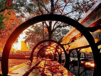 Quick Daily Meditation To Pause, Surrender And Let Go