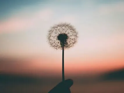 Quick Destress And Mindfulness Reset When Triggered