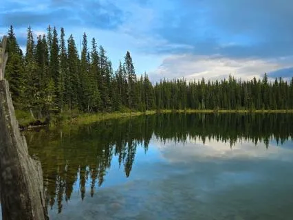 Quick Earth Grounding Meditation