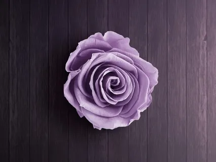 Quick Effective Self Love Elevation  •  Shavasana Series