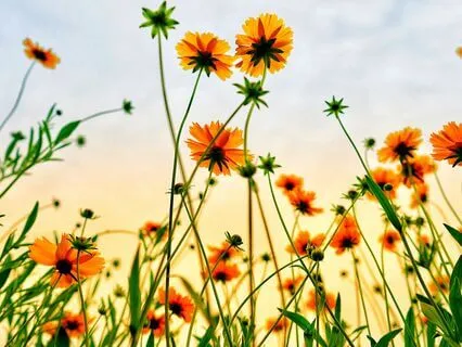 Quick Energy Protection