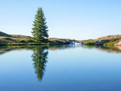 Quick Focus Reset: From Overwhelm To Flow