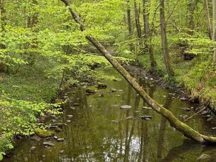 Quick & Gentle Evening Reset