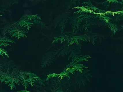 Quick Grounding Meditation