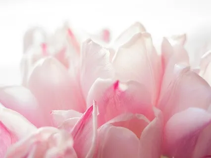 Quick Grounding Meditation Using Body Sensations