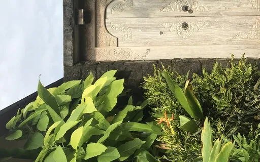 Quick Guided Meditation & Visualization