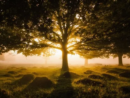 Quick Guided Meditation To Release Stress & Anxiety