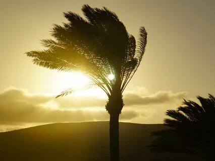 Quick Hemispheric Brain Synchronizer: Third Eye Frequency