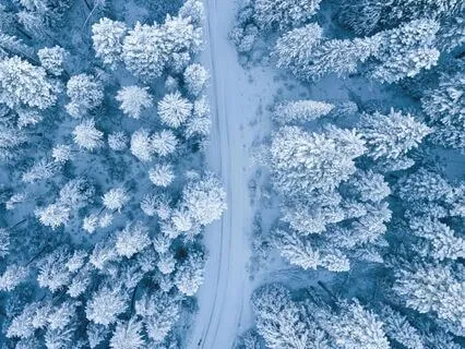 Quick Holiday Reset And De-Stress