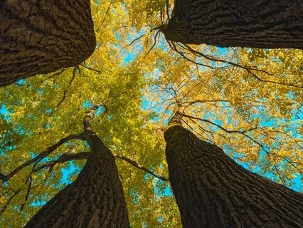 Quick Inspiration For A New Day