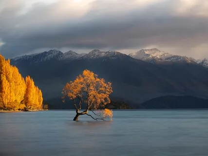 Quick Lift Laugh & Tap: I Am Enough