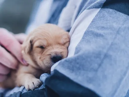 Quick Lovingkindness Meditation